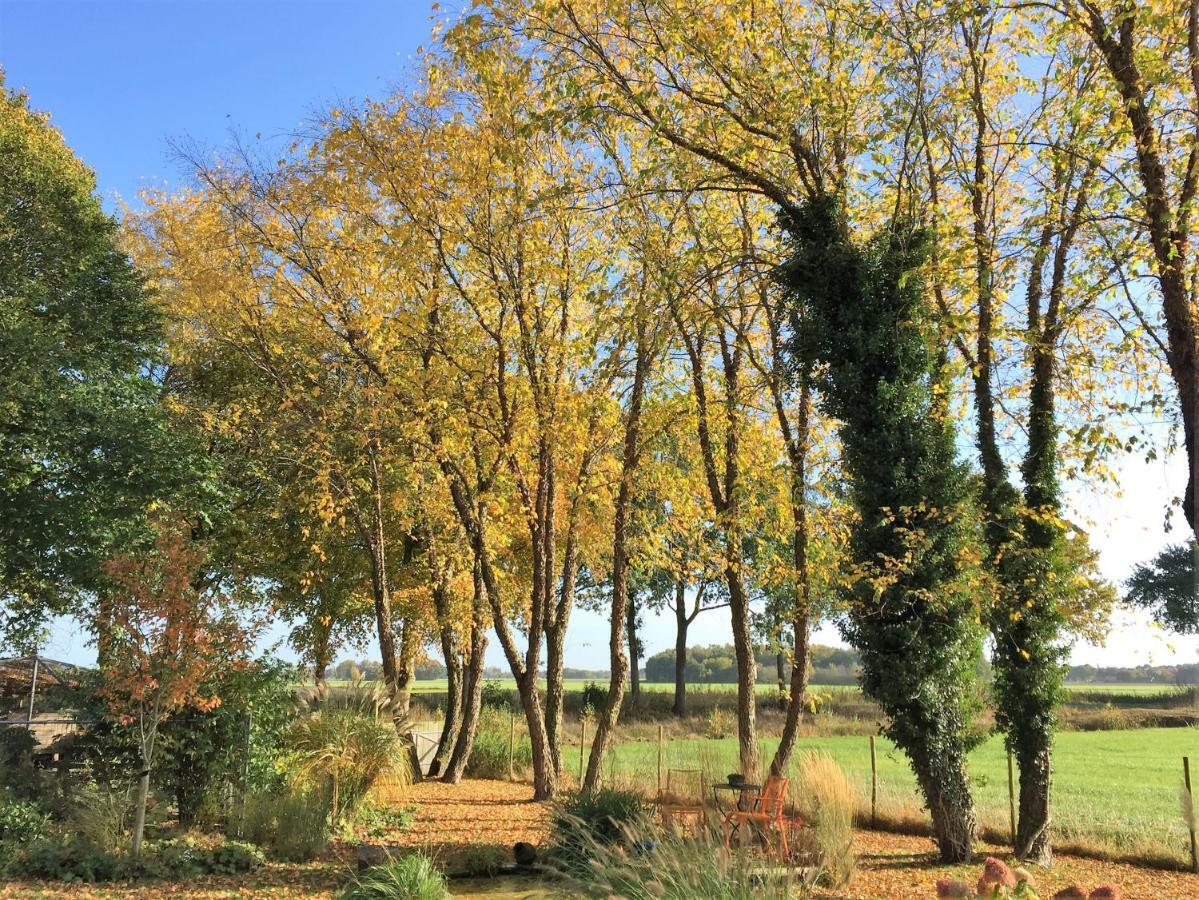 De Porrepoele Bed & Breakfast Alteveer (Groningen)
